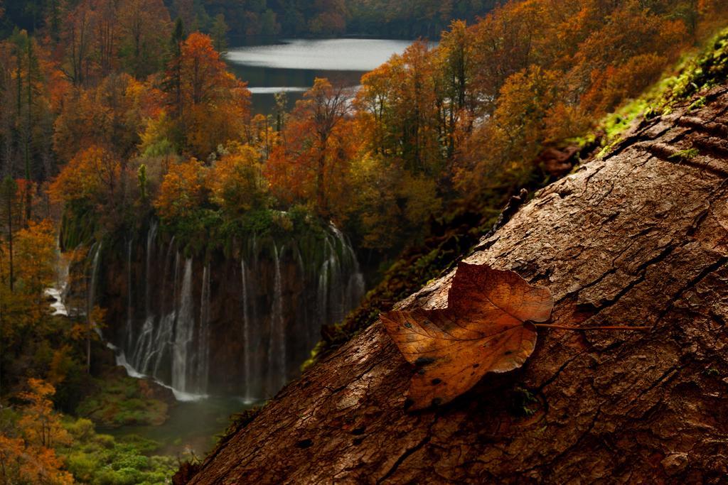 Guesthouse Villa Plitvicka Plitvická jezera Pokoj fotografie